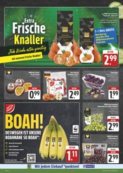Äpfel im E center Prospekt in Würzburg Aktueller E center Prospekt mit Äpfel, "Wir lieben Lebensmittel!", Seite 5