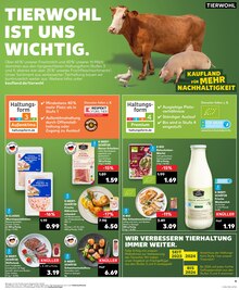 Milch im Kaufland Prospekt "Aktuelle Angebote" mit 28 Seiten (Braunschweig)