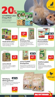 Nüsse im aktuellen DAS FUTTERHAUS Prospekt (Frankfurt (Main)) Nüsse im DAS FUTTERHAUS Prospekt "DER FACHMARKT für Tierfreunde." mit 12 Seiten (Frankfurt (Main))
