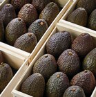 Avocat affiné à 1,65 € dans le catalogue Netto