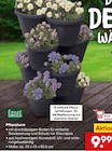 Pflanzturm im Netto Marken-Discount Prospekt Pflanzturm von Living Garden im aktuellen Netto Marken-Discount Prospekt für 9,99 €