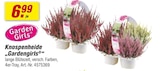 toom Baumarkt Heide - Knospenheide „Gardengirls“ Angebot im Prospekt Knospenheide „Gardengirls“ bei toom Baumarkt im Heide Prospekt für 6,99 €