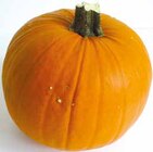 EDEKA Laer - Deutschland Speise- und Schnitzkürbis Angebot im Prospekt Deutschland Speise- und Schnitzkürbis bei EDEKA im Laer Prospekt für 2,22 €