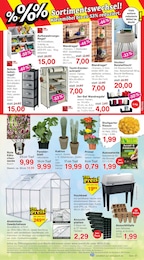 Fenster Angebot im aktuellen Jawoll Prospekt auf Seite 7