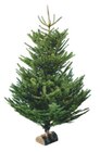 SAPIN NORDMANN COUPÉ 150/175 CM AVEC BÛCHE OFFERTE à Intermarché dans L'Estaque SAPIN NORDMANN COUPÉ 150/175 CM AVEC BÛCHE OFFERTE à Intermarché dans L'Estaque