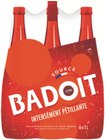 Carrefour Épinal - Promo 2+1 OFFERT SUR TOUT BADOIT Promo 2+1 OFFERT SUR TOUT BADOIT à dans le catalogue Carrefour à Épinal