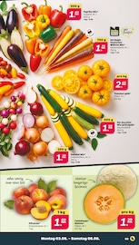 Zucchini im Netto mit dem Scottie Prospekt in Kiel Aktueller Netto mit dem Scottie Prospekt mit Zucchini, "Günstig. Besser. Für Dich.", Seite 3