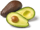 Avocado vorgereift im aktuellen Netto mit dem Scottie Prospekt