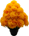 COMPOSITION DE CHRYSANTHÈMES - SANSMARQUE en promo à 14,99 € chez Auchan Hypermarché COMPOSITION DE CHRYSANTHÈMES - SANSMARQUE dans le catalogue Auchan Hypermarché