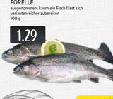 Forelle Angebote bei EDEKA Ratingen für 1,29 €