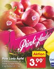 Pink Lady Äpfel Angebote bei Netto Marken-Discount Pirmasens für 3,99 €