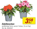 Angebot im toom Baumarkt Gotha Prospekt toom Baumarkt Gotha Prospekt mit im Angebot für 3,59 €