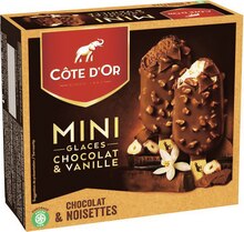 Géant Casino Gonesse - Bâtonnets glacés Mini chocolat & vanille Promo Bâtonnets glacés Mini chocolat & vanille dans le catalogue Géant Casino "Joyeuses Pâques" à Gonesse