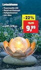 Lotusblume im Angebot bei Thomas Philipps in Kaiserslautern Lotusblume Angebote bei Thomas Philipps Kaiserslautern für 9,99 €