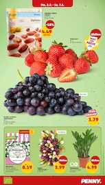 Aktueller Penny Prospekt mit Tulpen, "Wer günstig will, muss Penny.", Seite 7