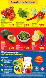 Aktueller Lidl Prospekt mit Kräuter, "LIDL LOHNT SICH", Seite 3