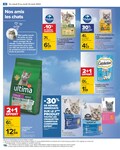 Le Chat Le Chat