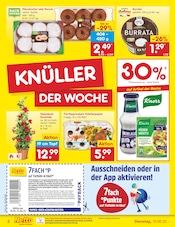 Blumen Angebot im Netto Marken-Discount Prospekt, gültig von 10.06.2025 bis 14.06.2025 Blumen Angebot im aktuellen Netto Marken-Discount Prospekt auf Seite 2