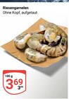 Aktuelle Garnelen Angebote bei GLOBUS in Koblenz Aktuelles Riesengarnelen Angebot bei GLOBUS in Koblenz ab 3,69 €