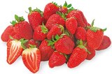 Erdbeeren bei REWE im Rottweil Prospekt für 