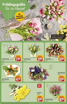Tulpen im REWE Prospekt "Dein Markt" mit 36 Seiten (Braunschweig)