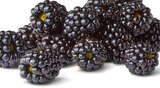 Brombeeren für 1,49 € bei Penny im Angebot Brombeeren im aktuellen Penny Prospekt