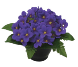 Promo Violette artificielle en pot à 9,99 € dans le catalogue Truffaut à Nîmes