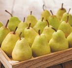 Poire dans le catalogue Netto