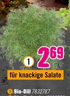 Bio-Dill im Angebot bei Hornbach in Bottrop Bio-Dill Angebote bei Hornbach Bottrop für 2,69 €