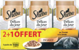 Lidl Rosny-sous-Bois - Mini Délices du Jour Volaille Promo Mini Délices du Jour Volaille dans le catalogue Lidl À vos marques à Rosny-sous-Bois