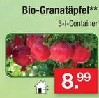 Bio-Granatäpfel im Angebot bei Zimmermann in Hildesheim Bio-Granatäpfel Angebote bei Zimmermann Hildesheim für 8,99 €
