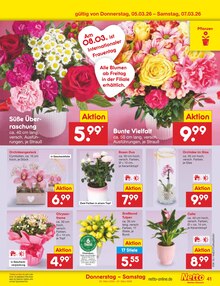 Zimmerpflanzen im Netto Marken-Discount Prospekt "Aktuelle Angebote" mit 60 Seiten (Mannheim)