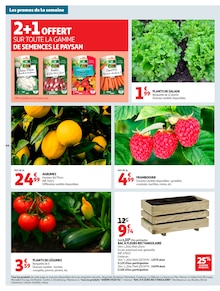 Promotion Terreau dans le prospectus Auchan Hypermarché, valable du 17/03/2026 au 23/03/2026 Promo Terreau dans le catalogue Auchan Hypermarché du moment à la page 44
