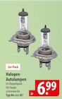 Halogen-Autolampen Angebote bei famila Nordost Norderstedt für 6,99 €