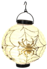 Lampion im aktuellen Thomas Philipps Prospekt