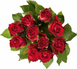 Netto Marken-Discount - Edelrosen Angebot im Prospekt Edelrosen bei Netto Marken-Discount im Prospekt "" für 2,99 €