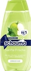 Shampoo von Schauma für 2,69 € bei Thomas Philipps im Angebot Shampoo von Schauma im aktuellen Thomas Philipps Prospekt