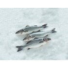 Bar - CARREFOUR - Carrefour Bar - CARREFOUR à 8,99 € dans le catalogue Carrefour