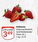 Aktuelle Erdbeeren Angebote bei GLOBUS in Salzgitter Aktuelles Erdbeeren Angebot bei GLOBUS in Salzgitter ab 3,49 €