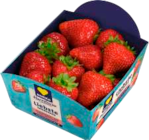 Erdbeeren im Angebot bei EDEKA in Stralsund Erdbeeren Angebote von EDEKA bei EDEKA Stralsund für 2,99 €