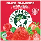 Infusion fraise framboise groseille & touche de menthe - ELEPHANT dans le catalogue Colruyt