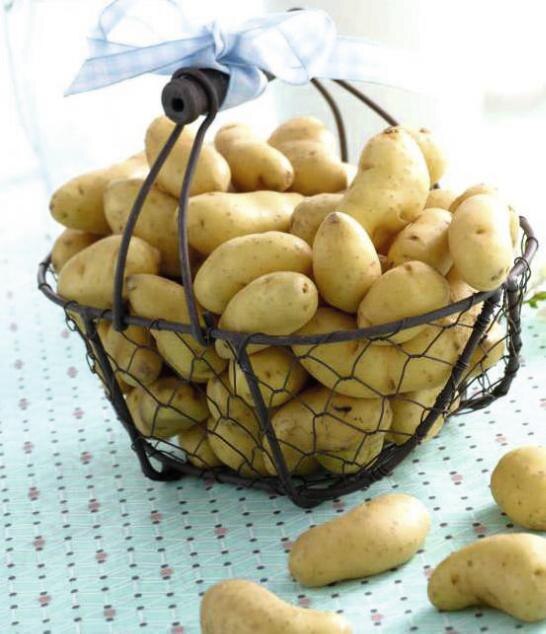 Géant Casino Tremblay-en-France - Pomme de terre à chair ferme Bio Promo Pomme de terre à chair ferme Bio dans le catalogue Géant Casino Votre mois Casinomania à Tremblay-en-France