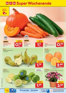 Pflanzen im aktuellen Netto Marken-Discount Prospekt (Paderborn) Pflanzen im Netto Marken-Discount Prospekt "Aktuelle Angebote" mit 71 Seiten (Paderborn)