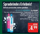 CO2-Zylinder Alcojet im Angebot bei Marktkauf in Hof CO2-Zylinder Alcojet Angebote von Sodastream bei Marktkauf Hof für 4,99 €
