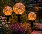 LED-Solarkugel Angebote von toom bei toom Baumarkt Erfurt für 3,99 €