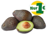 MARKTLIEBE Avocado angereift im aktuellen Penny Prospekt