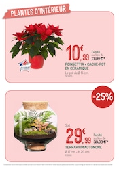 Bricolage Angebote im Prospekt "LES OFFRES DU MOMENT À NE PAS MANQUER" von Botanic auf Seite 4
