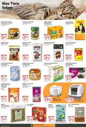 Aktueller GLOBUS Prospekt mit Wild, "Aktuelle Angebote", Seite 21