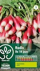 Gamm vert Brétigny-sur-Orge - Promo 3 + 1 offert(s) Semences potagères Gamm vert Promo 3 + 1 offert(s) Semences potagères Gamm vert à dans le catalogue Gamm vert à Brétigny-sur-Orge