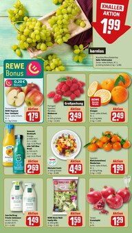 Äpfel im REWE Prospekt "Dein Markt" mit 22 Seiten (Stuttgart)